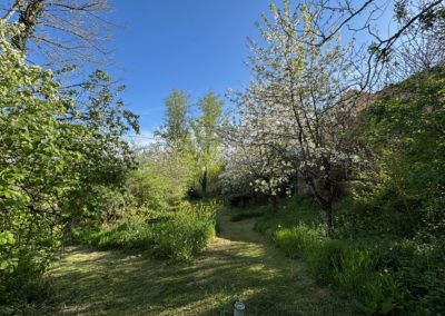 Jardin